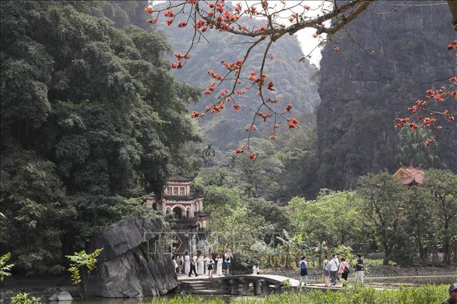 Cây hoa gạo nổi bật giữa không gian núi non hùng vĩ bên ngôi chùa cổ 600 năm tuổi thuộc Khu du lịch Tam Cốc - Bích Động. Ảnh: Đức Phương/TTXVN