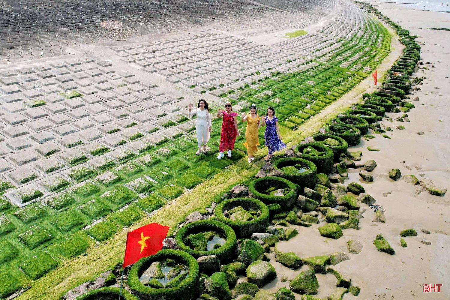 Dọc theo bờ kè thuộc bãi biển Thiên Cầm (xã Thiên Cầm), khi thủy triều rút xuống, lộ diện lớp rêu xanh mướt phủ kín kéo dài khoảng 1km.