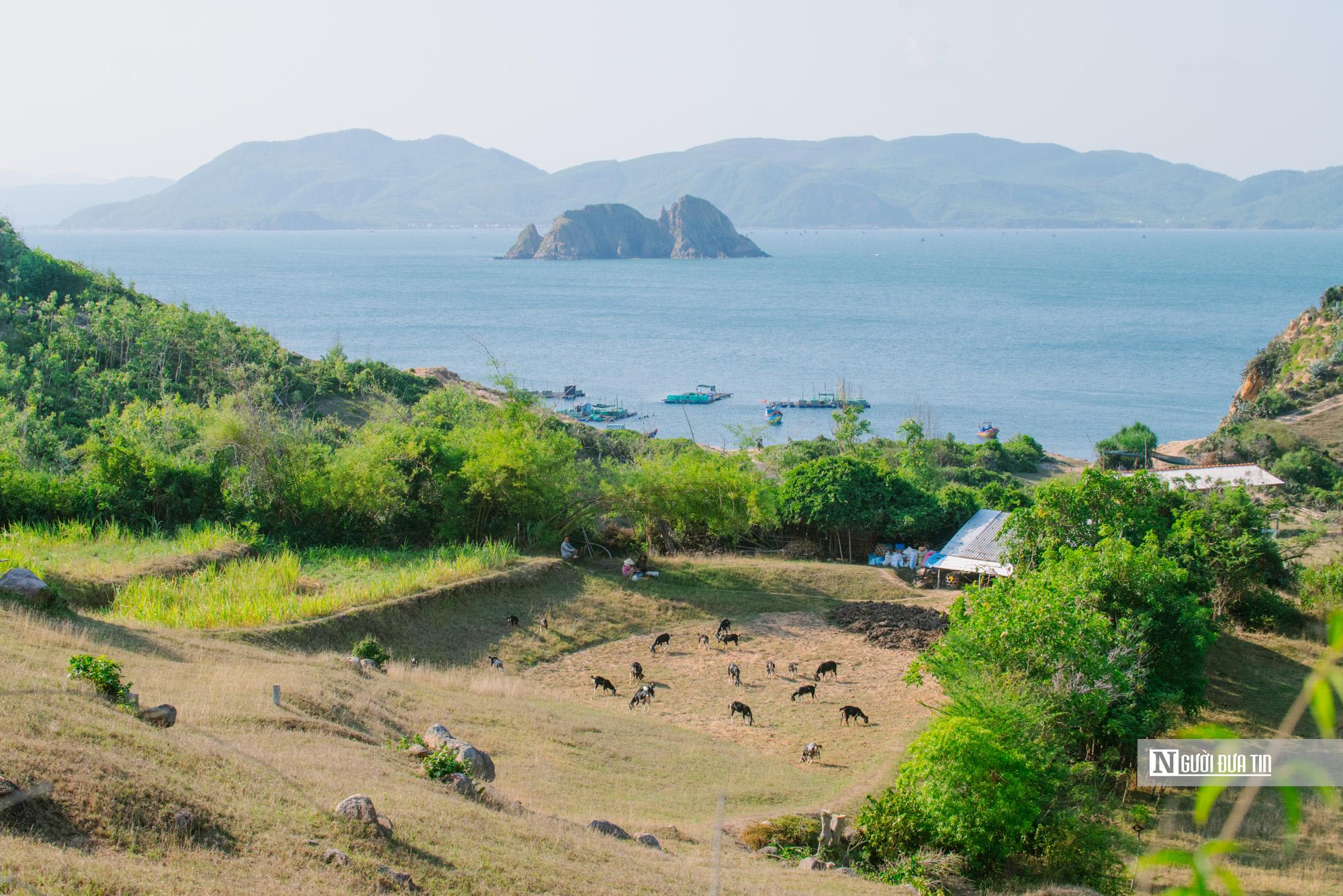 Từ trên đỉnh đồi, du khách có thể phóng tầm mắt ra biển lớn, bao quát đến Vịnh Xuân Đài, mõm Cá Mập.... Mõm Cá Mập phía dưới "động đá" cũng là địa điểm check in không thể bỏ lỡ.