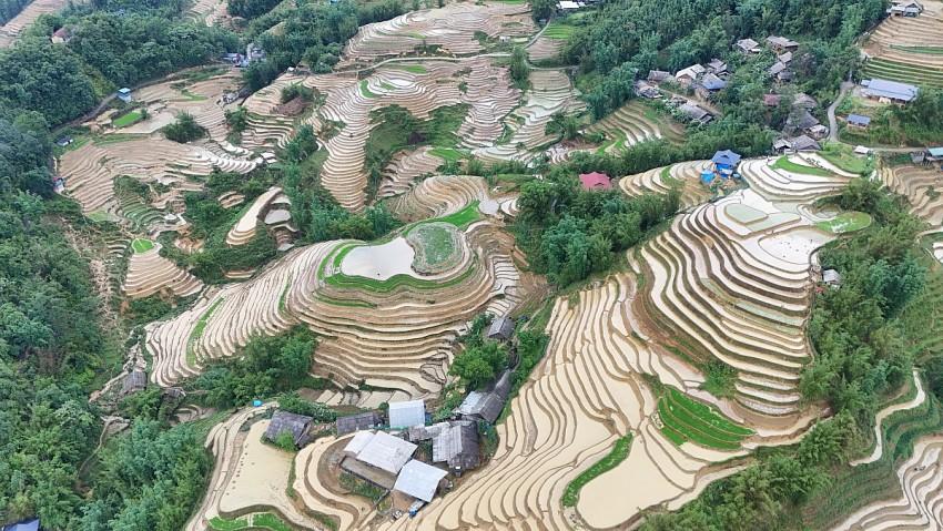  Sau những cơn mưa đầu mùa trên vùng cao Tây Bắc, những thửa ruộng bậc thang ở Sa Pa, Y Tý, Mù Cang Chải, Tú Lệ, Tả Van… lại khoác lên mình vẻ đẹp lung linh của mùa nước đổ, tạo nên bức tranh thiên nhiên đa sắc sống động, đẹp đến mức khó có ngôn từ nào diễn tả trọn vẹn. 