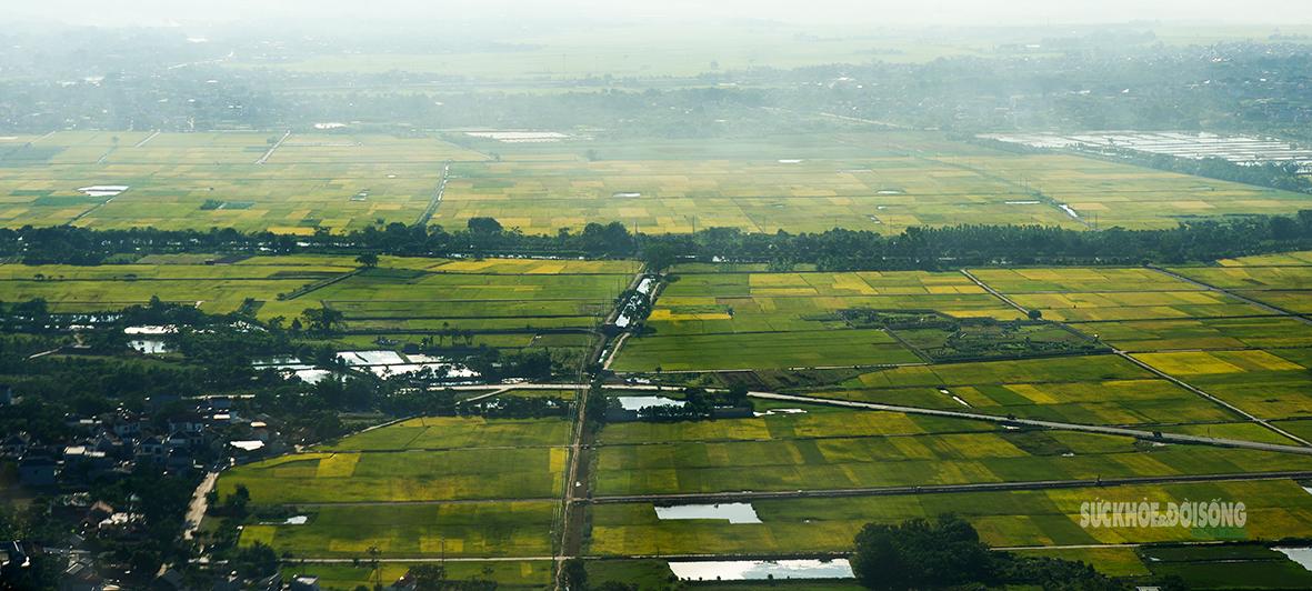 Những mảng xanh rộng lớn tạo nên bức tranh thanh bình nhìn từ trên cao.
