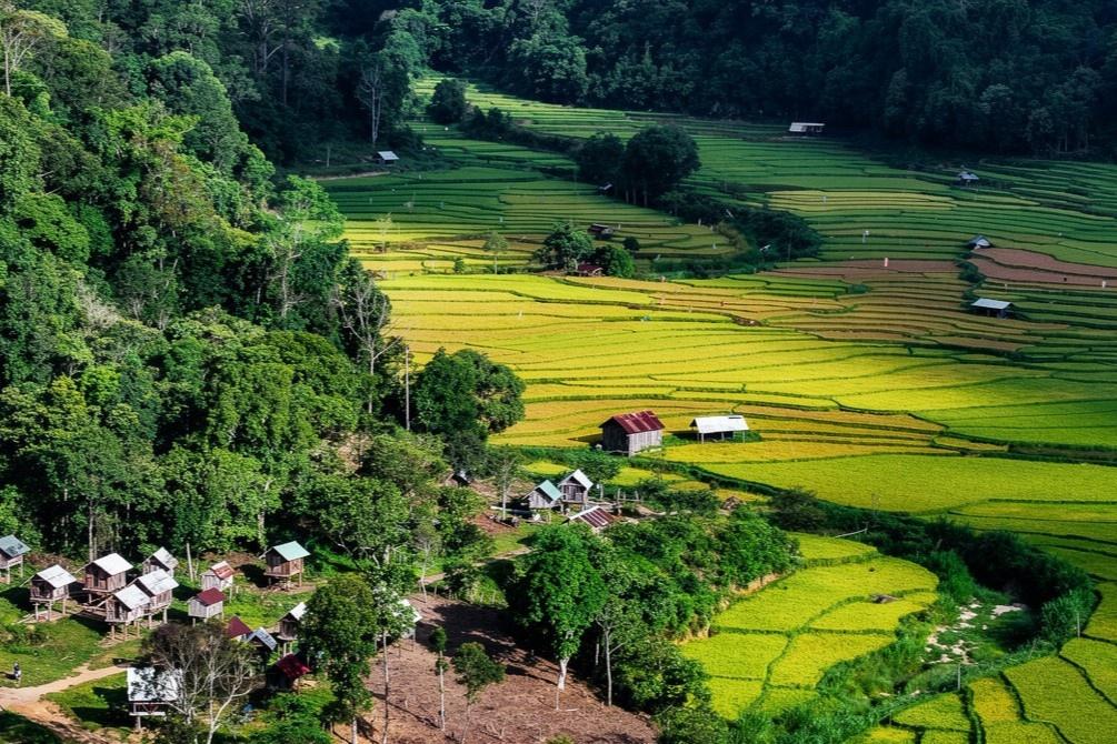  Bao quanh ruộng bậc thang Kon Tu Rằng là dãy núi Ngọc Lễ, một bên được ôm lấy bởi dòng sông Đăk S'nghé. Khi đến ngắm lúa chín, du khách có thể kết hợp tham quan kho trữ lúa ở làng Kon Tu Ma của người Xơ Đăng nằm bên cạnh. Tháng 7/2025, địa điểm này cũng bất ngờ nổi tiếng nhờ những kho lúa làm bằng gỗ giống nhà sàn nhỏ. Ảnh: Đô Đô/Ghiền Măng Đen. 