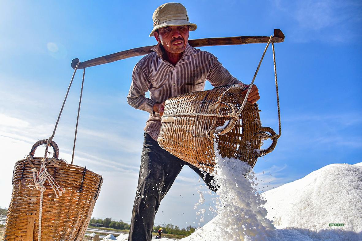 Diêm dân đổ muối vừa thu hoạch lên các ụ chứa. Ảnh: Lê Tiến