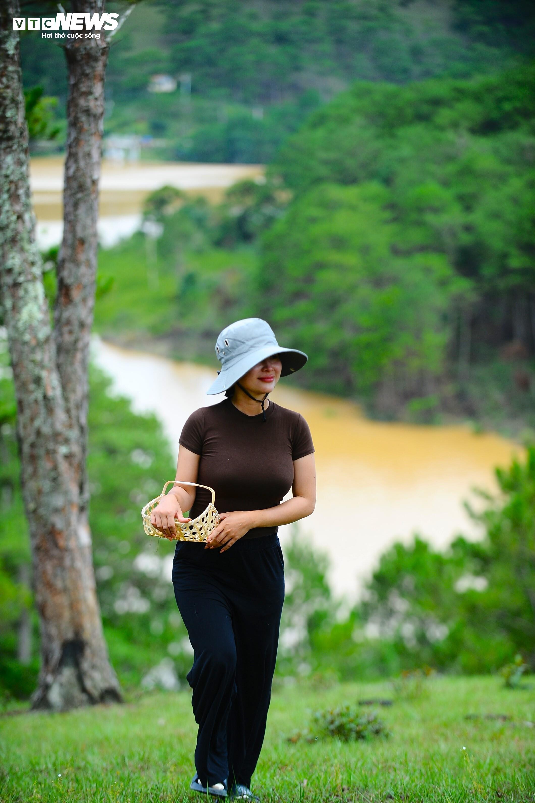 Trên những đồi thông, không khí luôn trong lành, mát mẻ. Du khách thong dong rảo bước hái nấm rừng và tận hưởng không gian tự nhiên thoáng đãng.