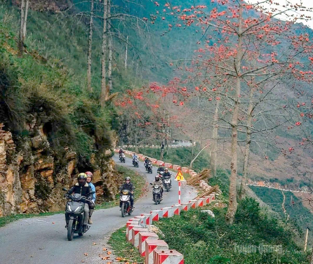 Tháng Ba, sắc đỏ hoa gạo tô điểm những cung đường về Du Già.