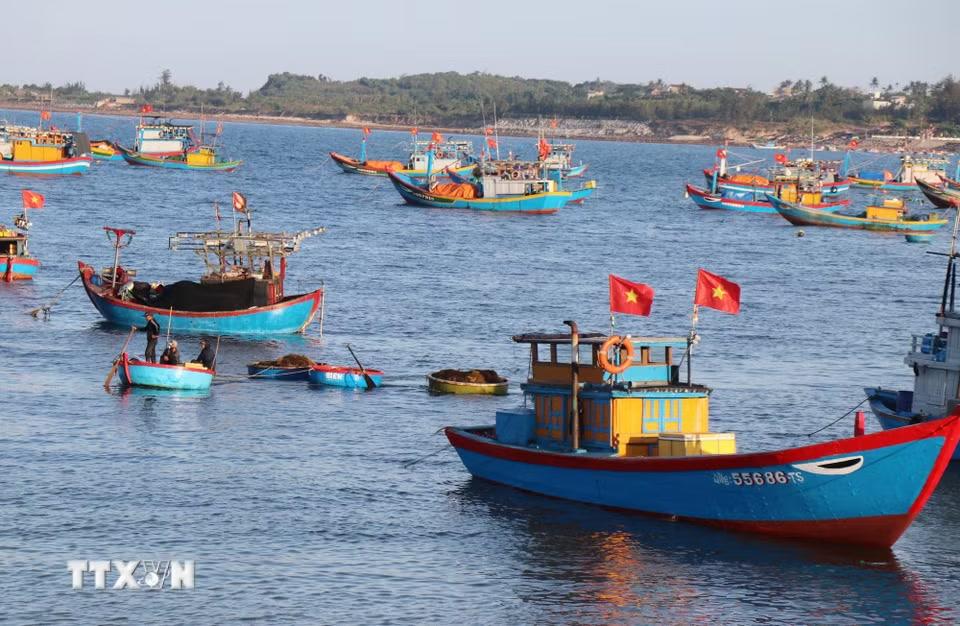 Những chiếc thuyền gỗ nằm nghỉ ngơi ven bờ sau chuyến ra khơi. (Ảnh: Phạm Cường/TTXVN)