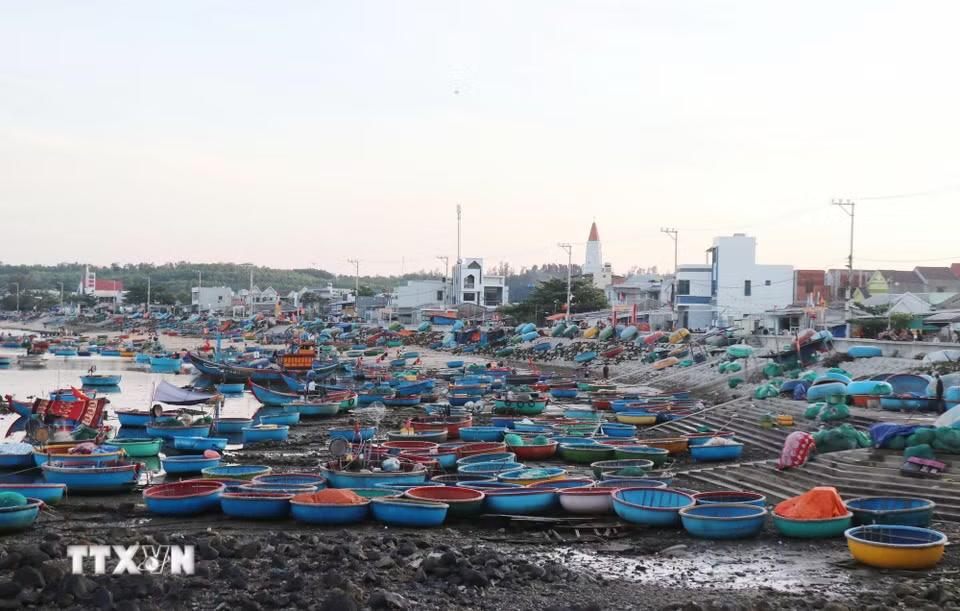 Làng chài Phước Thiện bình yên đang là điểm đến mới của nhiều khách du lịch. (Ảnh: Phạm Cường/TTXVN)