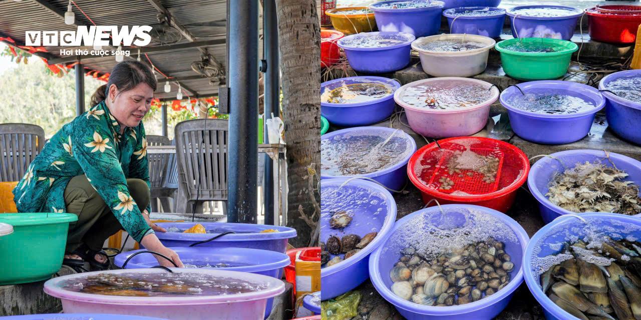 Một ngày ở Bãi Xếp bắt đầu từ rất sớm bởi không khí lao động, tiếng động cơ ghe thuyền máy trở về sau đêm dài đánh bắt. Những nụ cười của ngư dân khi đón mẻ cá, mực, ốc... tươi rói.