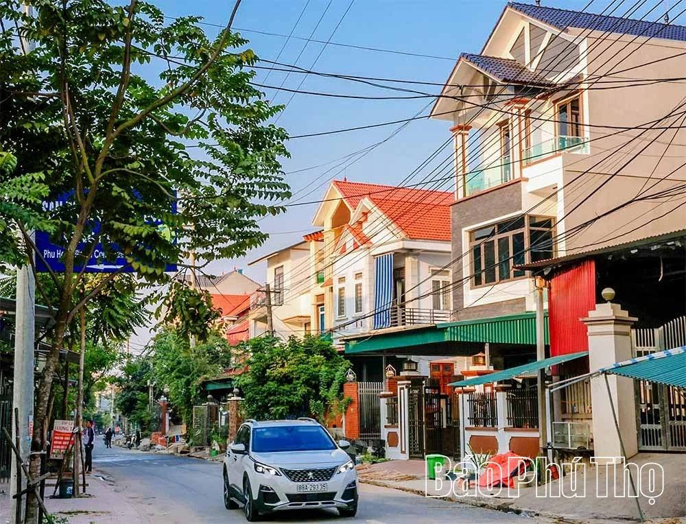 Hiện nay, toàn xã có trên 350 tàu, thuyền các loại chuyên vận chuyển hàng hóa đến nhiều tỉnh, thành phố miền Bắc. Hoạt động vận tải thủy mang lại nguồn thu ổn định, giúp nhiều gia đình đạt mức thu nhập hàng trăm triệu đồng mỗi năm.