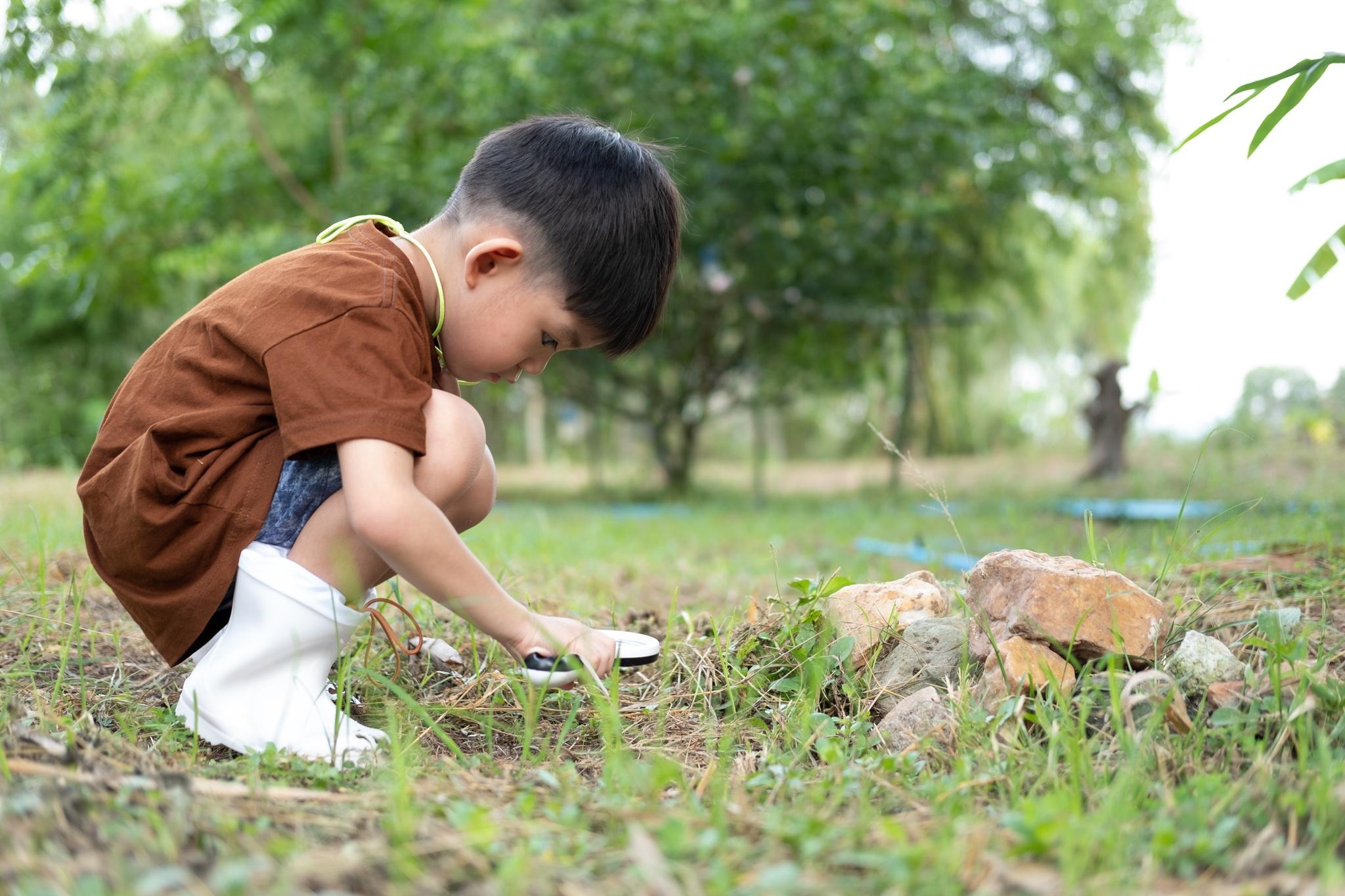  Môi trường nông thôn (ruộng lúa, vườn trái cây, trại chăn nuôi…) là nơi sinh sống của muỗi Culex - trung gian truyền virus gây bệnh viêm não Nhật Bản. Ảnh minh họa: Vecteezy.