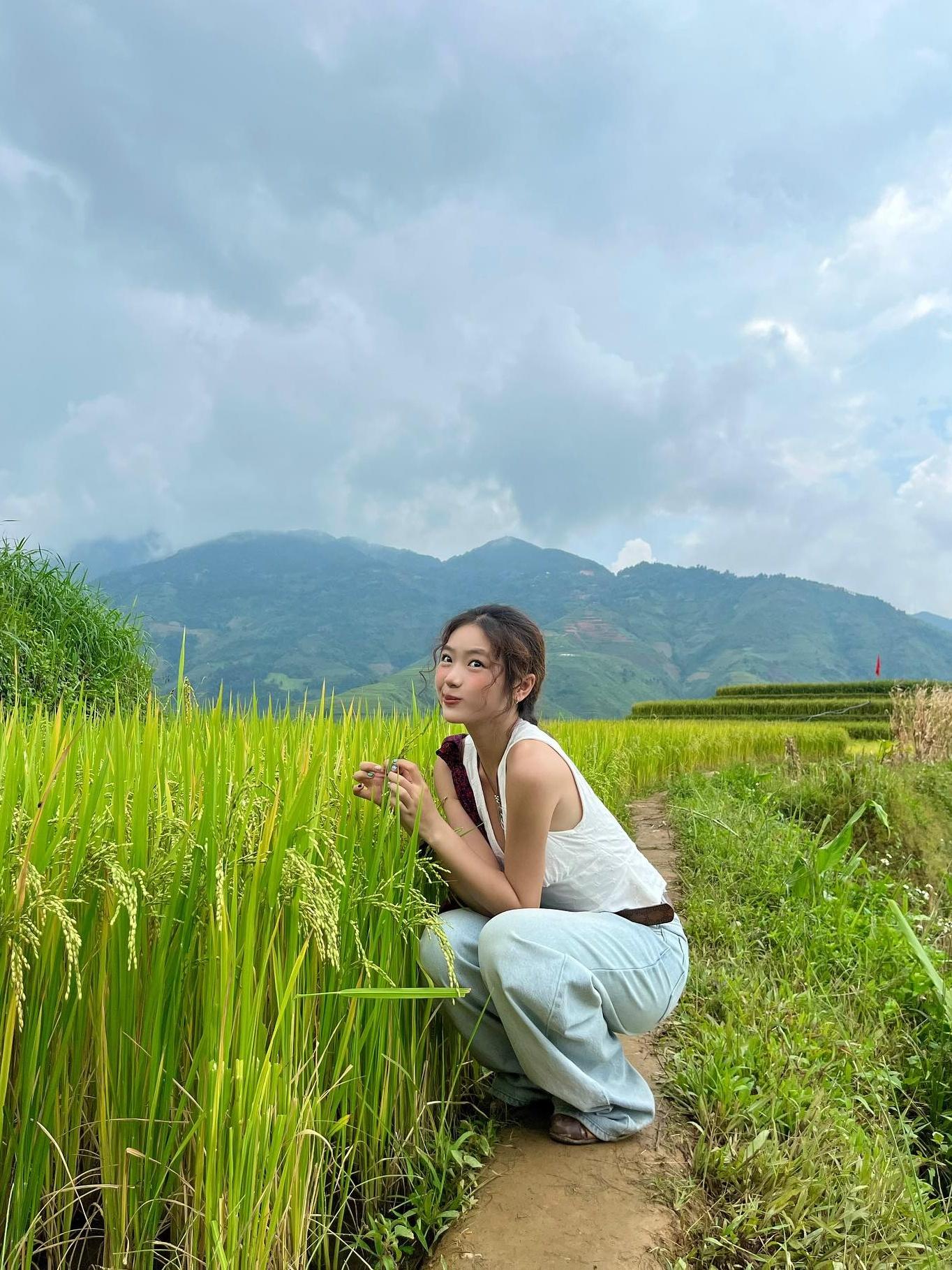  Khung cảnh mùa lúa ở Xím Vàng được du khách ghi lại hồi tháng 9/2025. Ảnh: @dee.koiiiiiiiiii. 