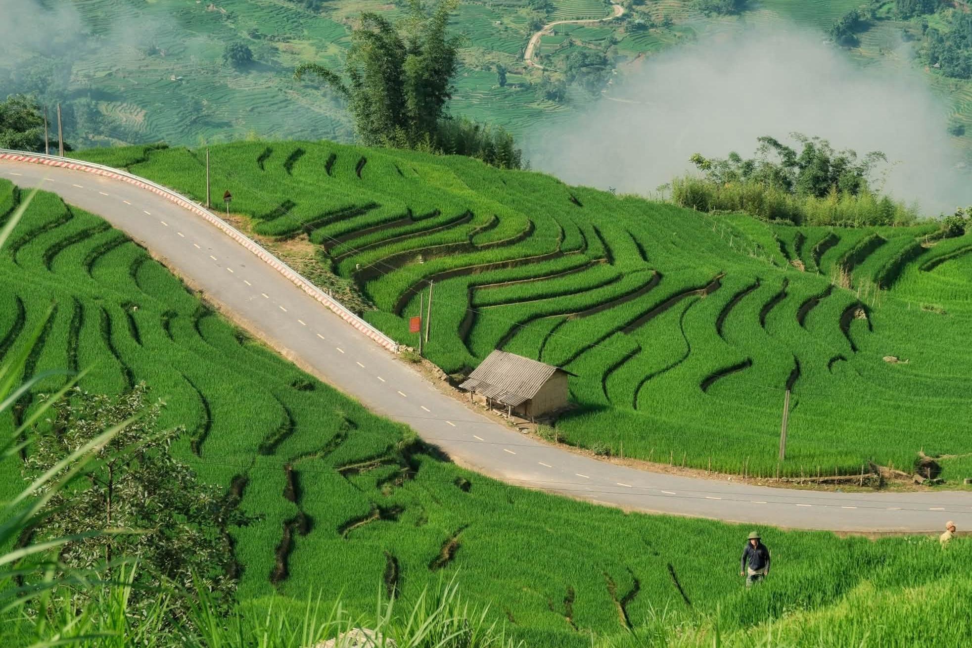 Đầu tháng 7, Diệp Hữu Đạt, 26 tuổi, hướng dẫn viên kiêm nhiếp ảnh gia tự do ở Tà Xùa, trở lại Y Tý (Lào Cai) ngắm những thửa ruộng bậc thang vào mùa lúa xanh. Theo anh, thời điểm này cảnh quan phủ kín màu xanh non, ít du khách và thuận lợi để chụp ảnh. Đây là lần thứ 2 Đạt đến Y Tý, sau chuyến ở lại một tuần vào mùa lúa chín.