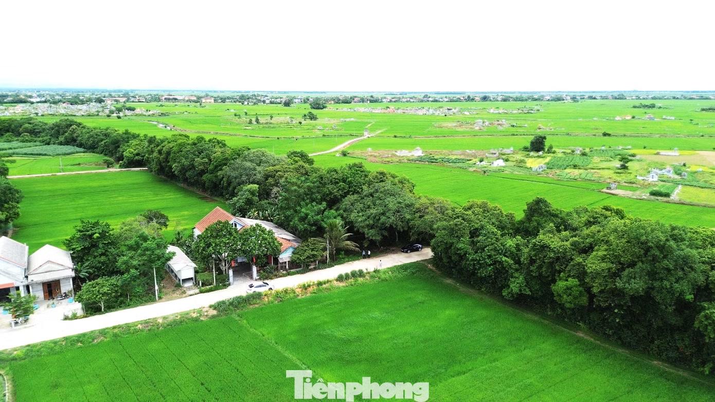 Trước đó, trong các cuộc kháng chiến, những tán cây lộc vừng rậm rạp còn là nơi che giấu hầm bí mật của lực lượng cách mạng. Dù từng hứng chịu bom đạn và nhiều lần bị đốt phá, khu rừng vẫn tồn tại và tiếp tục sinh trưởng.