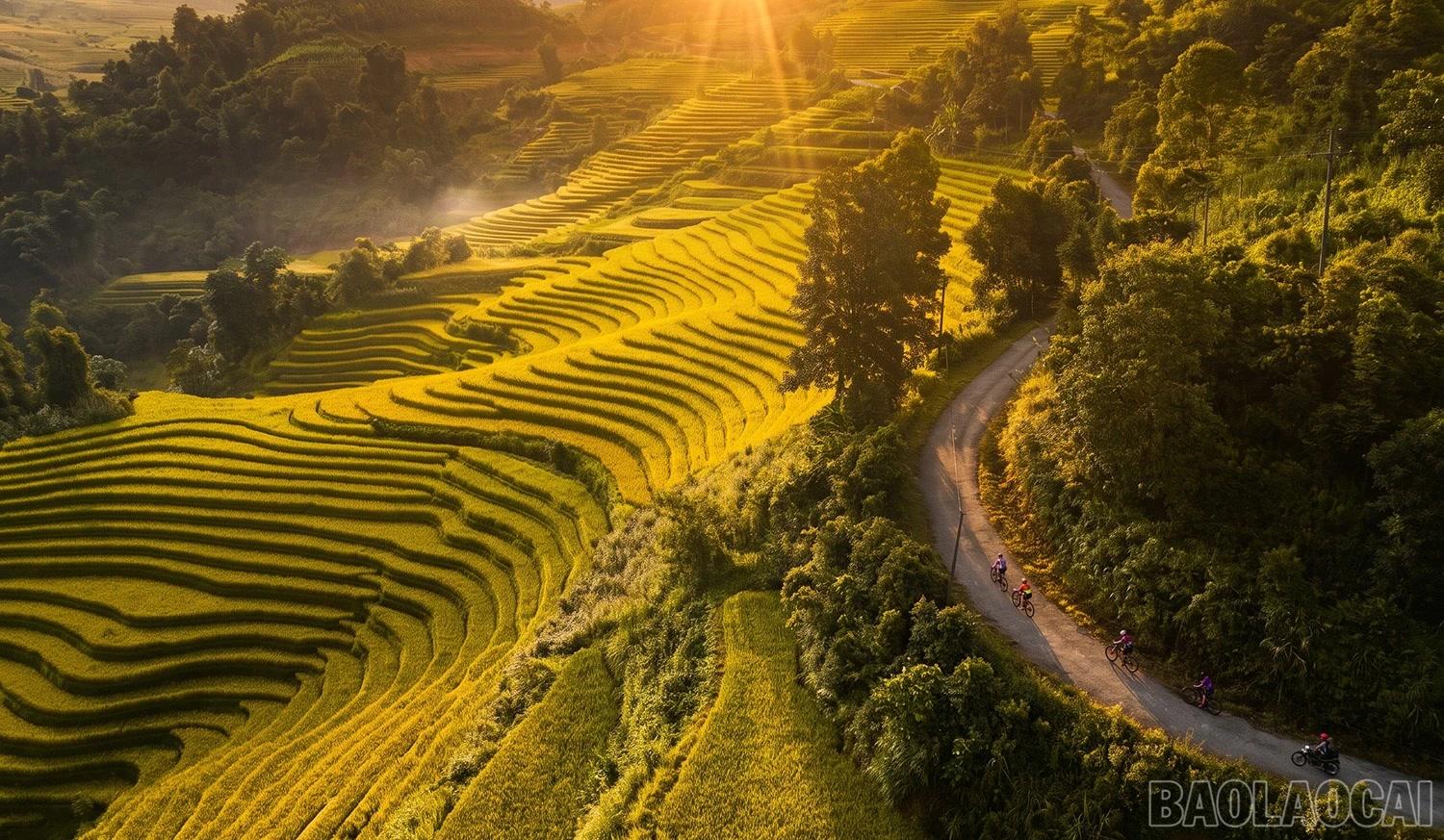 Không chỉ nổi bật bởi cảnh sắc mùa vàng, Mường Bo còn mang đến cho du khách cơ hội khám phá đời sống, văn hóa bản địa và tận hưởng nhịp sống chậm giữa núi rừng Tây Bắc.