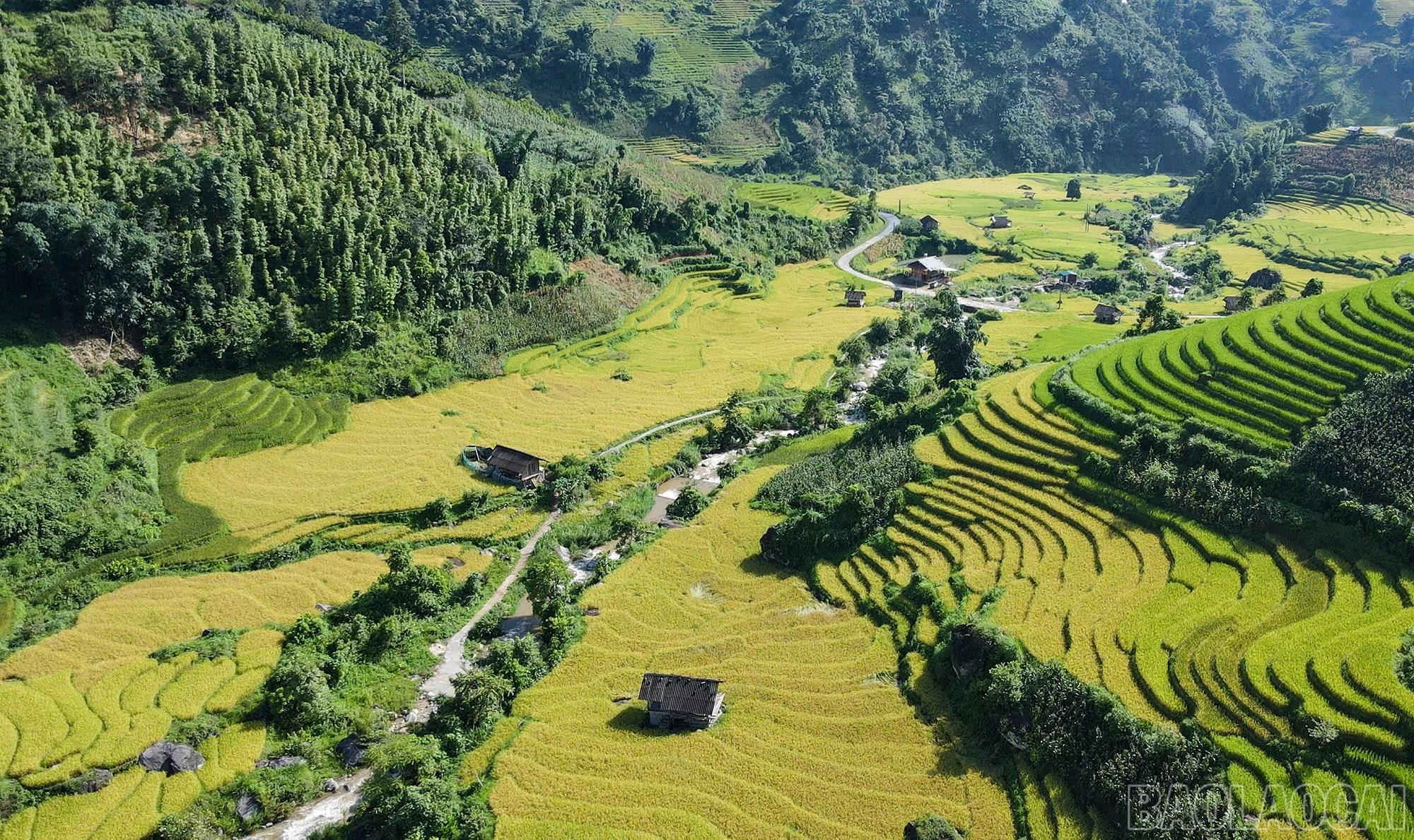 Giữa núi rừng hùng vĩ, trùng điệp, những thửa ruộng bậc thang bắt đầu "khoác" lên mình tấm áo vàng rực, tạo nên một bức tranh thiên nhiên tuyệt mỹ, làm say đắm lòng người.