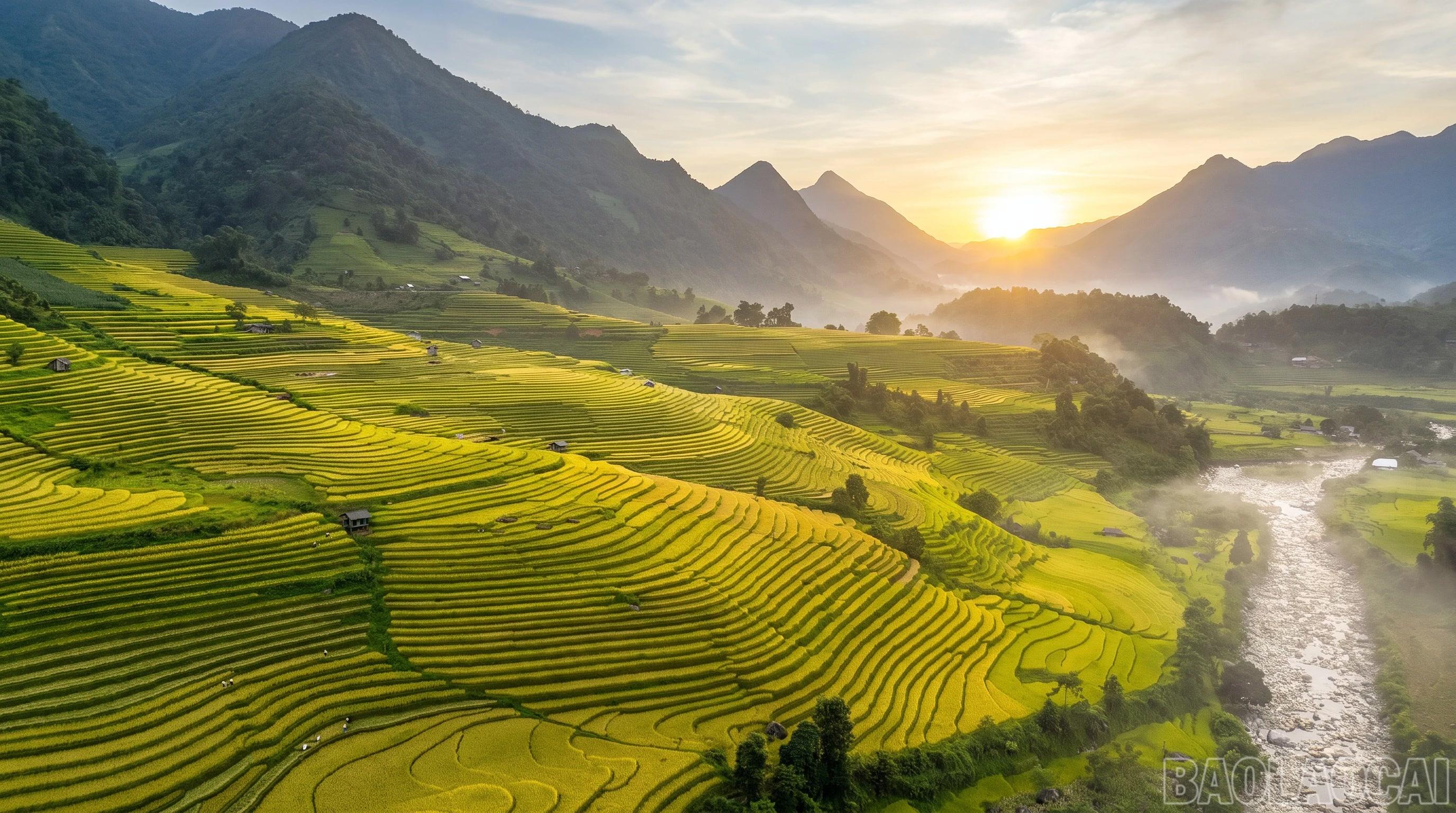 Cuối tháng 7, đầu tháng 8 hàng năm là thời điểm Mường Bo thu hút đông đảo du khách nhờ tiết trời mùa thu se lạnh và sắc nắng vàng như mật.