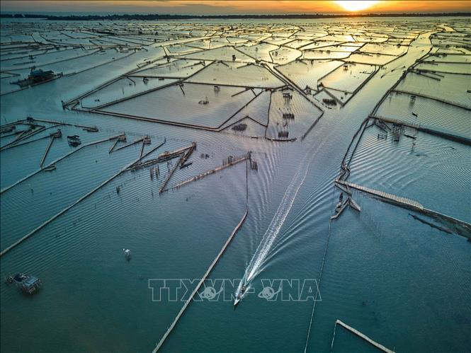 Vẻ đẹp của Đầm Chuồn trong ánh bình minh.