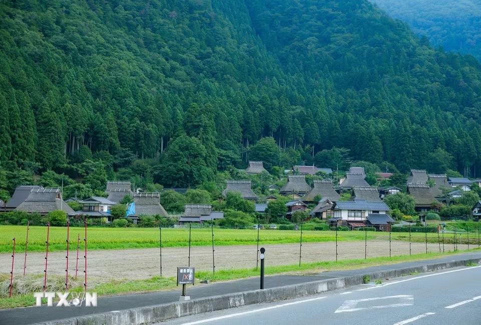 Kayabuki no Sato còn gần 40 ngôi nhà mái tranh truyền thống được người dân gìn giữ và sinh sống qua nhiều thế hệ. (Ảnh: Xuân Giao/TTXVN)