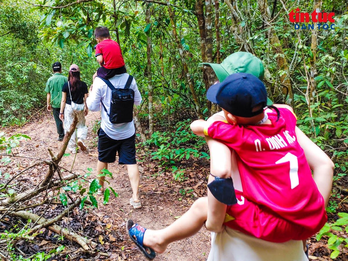 Chỉ cách trung tâm TP Hồ Chí Minh hơn hai giờ di chuyển, du khách đã có thể chạm đến Khu bảo tồn thiên nhiên Bình Châu - Phước Bửu.