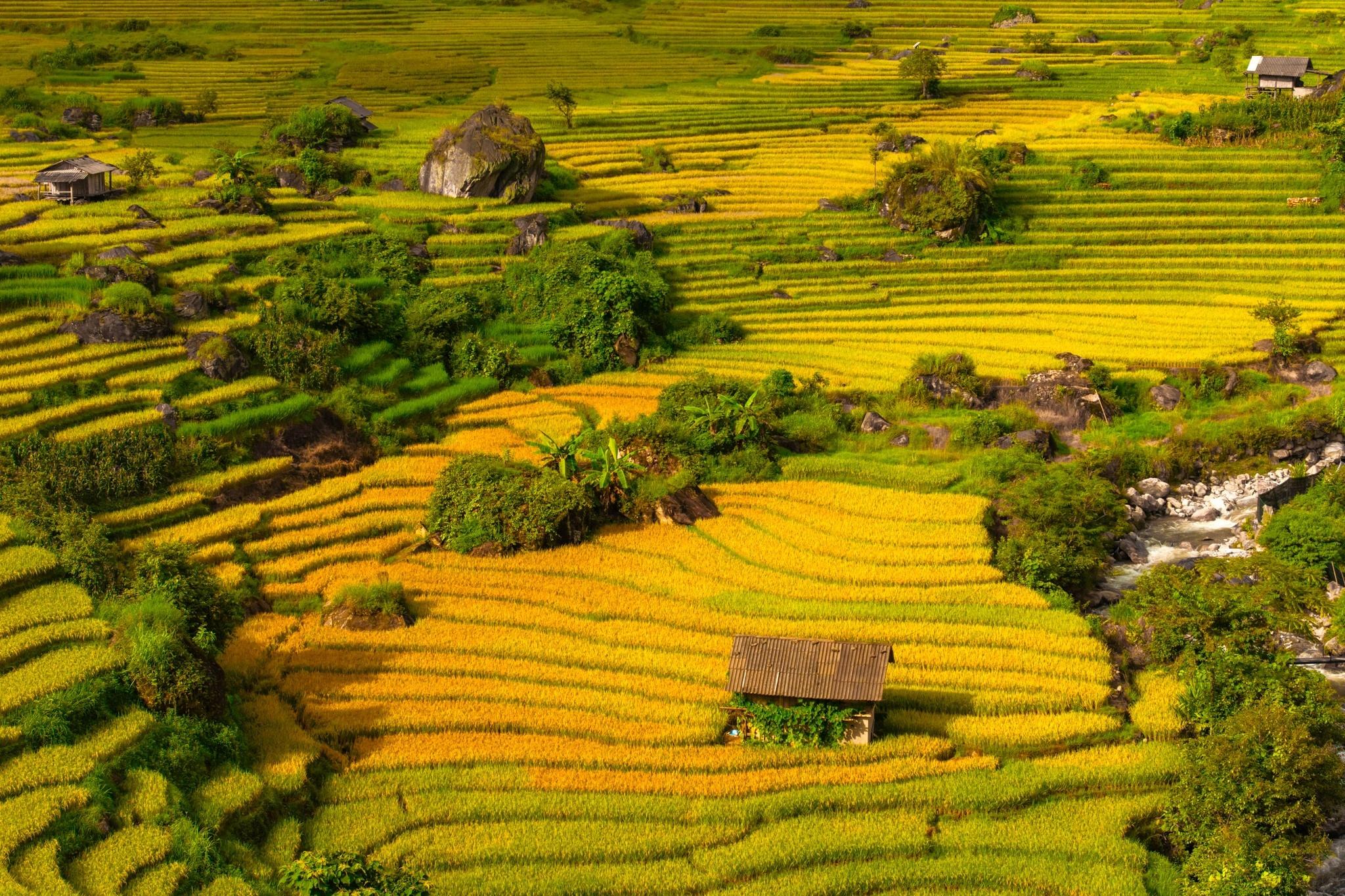  Để đến được Nậm Cang, du khách có thể thuê xe từ Sa Pa hoặc tài xế bản địa am hiểu đường. Xe máy là phương tiện phù hợp để len lỏi qua những đoạn đường nhỏ và dừng lại ngắm cảnh. Tuy nhiên, khi tự lái xe máy cần tay lái vững vì nhiều khúc cua quanh co. Trong thời gian ở Nậm Cang, du khách có thể lưu trú tại những bản làng. Nhìn chung ngành du lịch Lào Cai, trong 6 tháng đầu năm 2026, tỉnh đã đón khoảng 6,75 triệu lượt khách, đạt được hơn một nửa mục tiêu cả năm là đón 11,28 triệu lượt khách. 