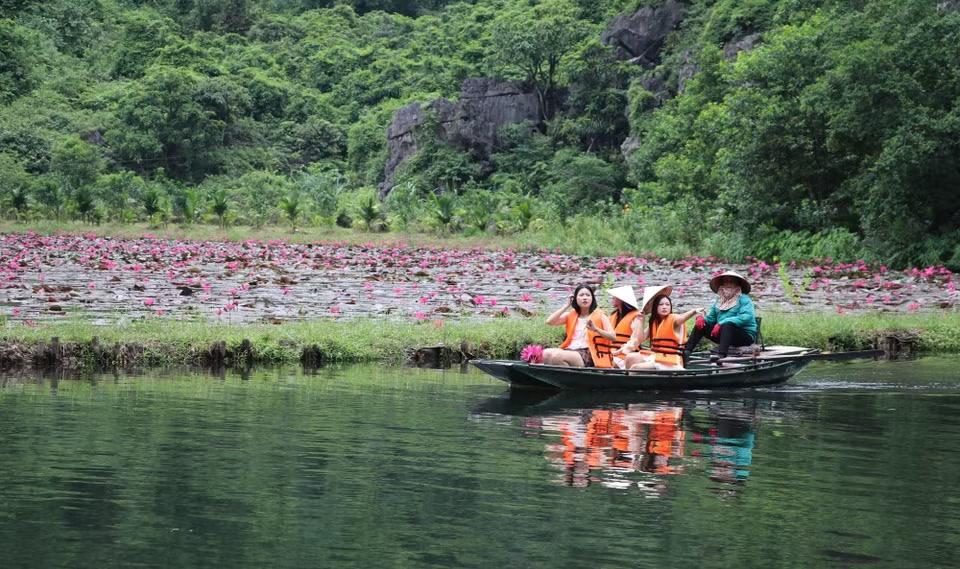 Mùa hoa súng tím là điểm đến hấp dẫn, thu hút nhiều bạn trẻ đến tham quan, chụp ảnh. (Ảnh: Thùy Dung/TTXVN)