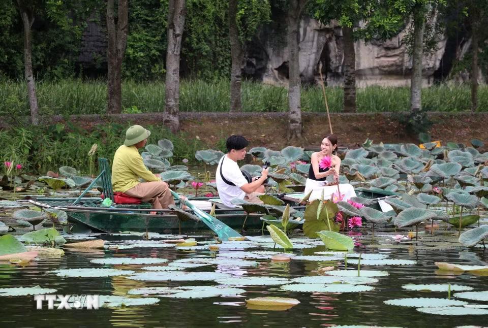 Mùa hoa súng tím là điểm đến hấp dẫn, thu hút nhiều bạn trẻ đến tham quan, chụp ảnh. (Ảnh: Thùy Dung/TTXVN)