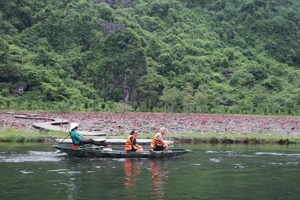Mùa hoa súng tím mang đến trải nghiệm đáng nhớ cho du khách trong hành trình khám phá Ninh Bình. (Ảnh: Thùy Dung/TTXVN)