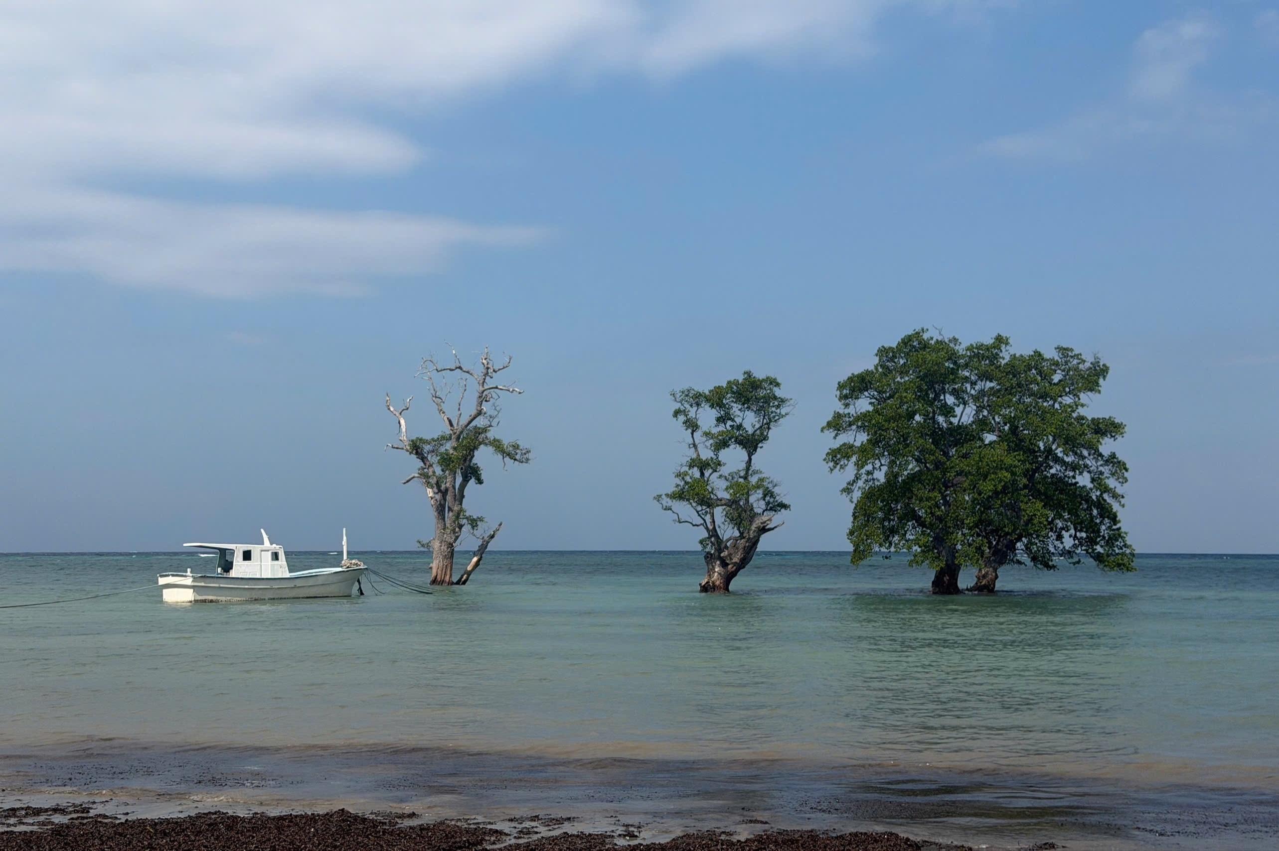 Khung cảnh bình yên, hoang sơ tại Timor Leste.