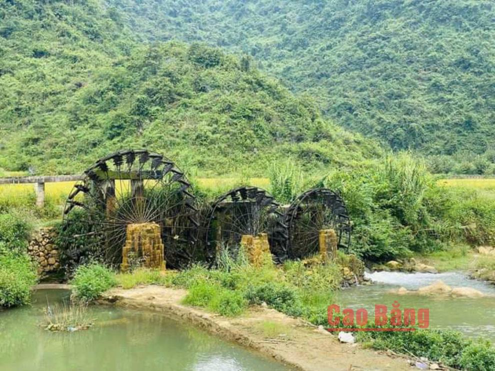 Những chiếc cọn vẫn ngày đêm tận dụng sức nước đưa nước về ruộng, vừa phục vụ sản xuất, vừa lưu giữ tri thức dân gian và nét văn hóa đặc trưng của cư dân miền di sản CVĐC toàn cầu UNESCO  Non nước Cao Bằng.