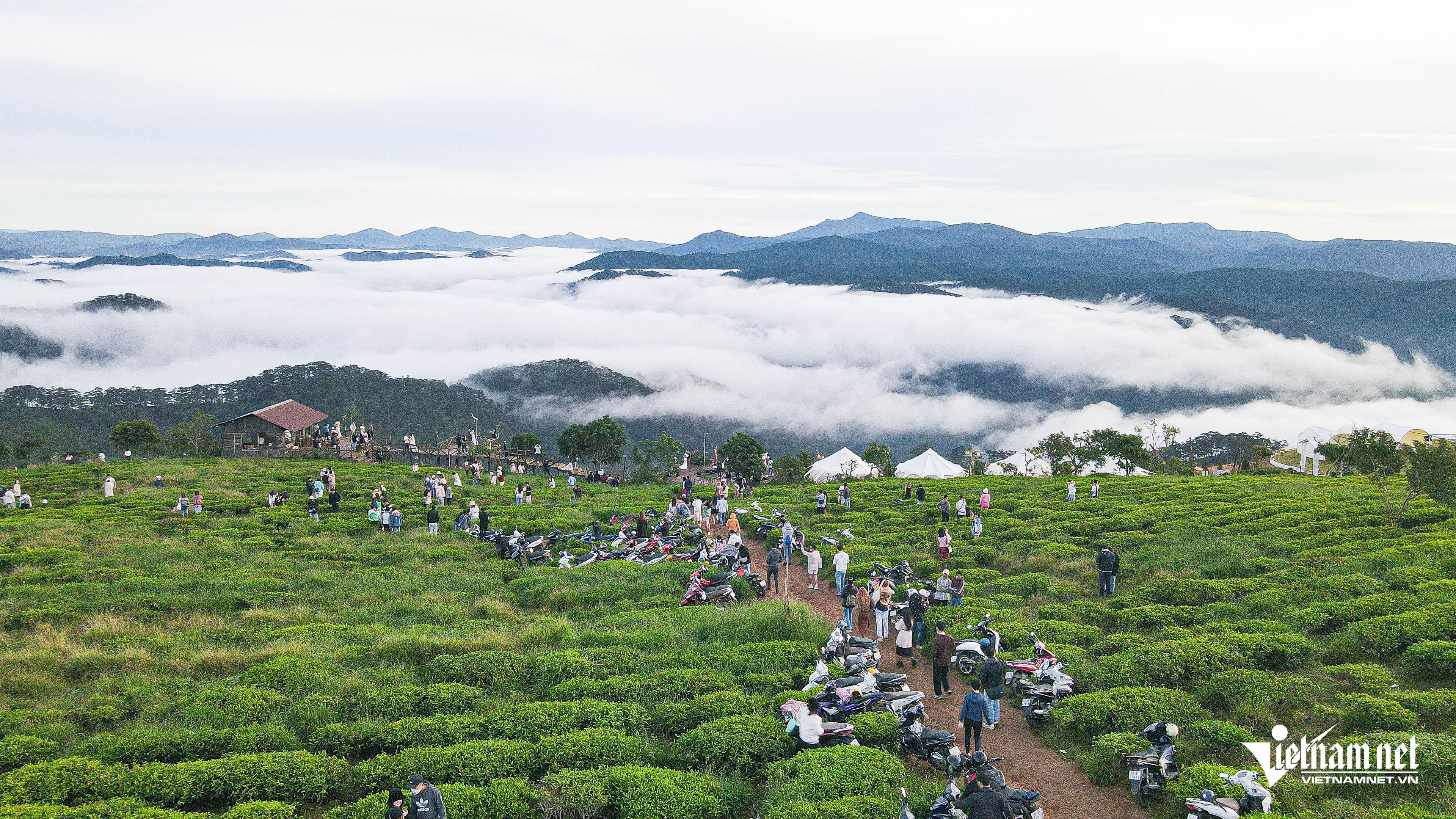 Biển mây ở Đà Lạt. Ảnh: Linh Trang