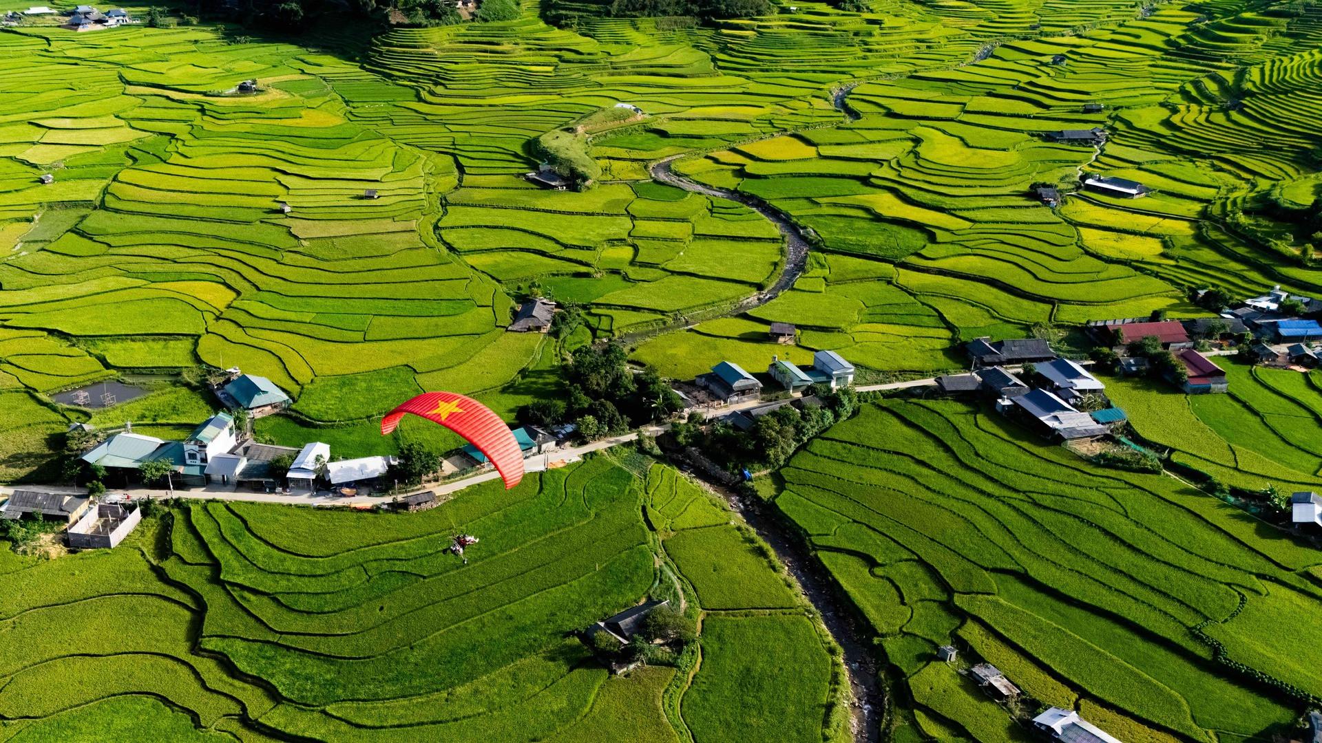 Thời gian ngắm mùa vàng không kéo dài. Ảnh: Mebayluon Paragliding