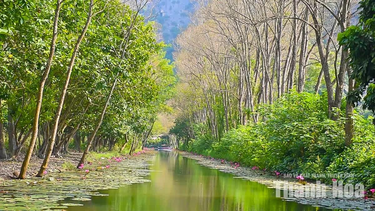 Điểm nhấn trong hành trình khám phá Kim Sơn chính là trải nghiệm ngồi thuyền trên suối Ấu. Dòng suối dài gần 3km, uốn lượn mềm mại qua núi đá, khi rộng mở giữa những khoảng nước mênh mông, lúc lại len lỏi giữa các vách núi.