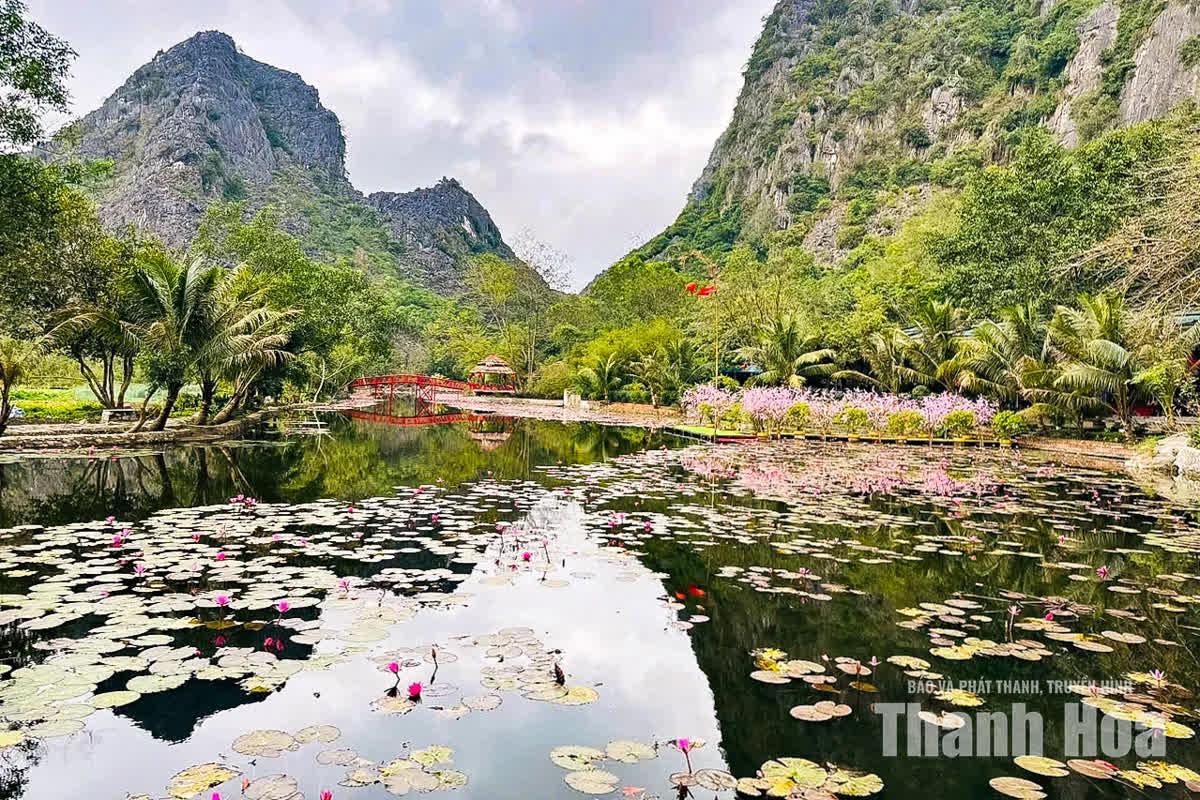 Một trong những giá trị làm nên sức hấp dẫn của Kim Sơn chính là vẻ đẹp tự nhiên gần như chưa bị bê tông hóa. Núi đá, hang động, dòng suối, mặt nước, cây cỏ và những công trình tâm linh đan xen, tạo thành một quần thể cảnh quan hài hòa.