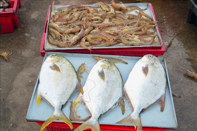 Hải sản tươi ngon được bày bán tại cảng cá Cửa Nhượng.