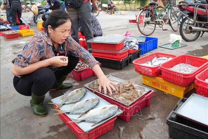 Hoạt động khai thác và tiêu thụ hải sản tạo sinh kế cho hàng nghìn lao động vùng biển.