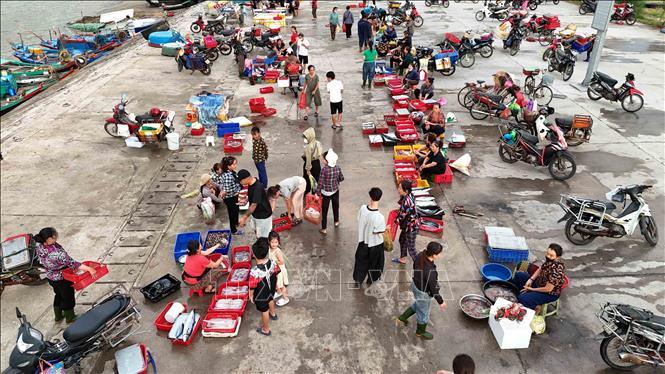 Hoạt động mua bán, thu mua hải sản tại cảng cá Cửa Nhượng.