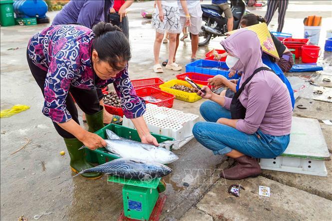 Hoạt động mua bán, thu mua hải sản tại cảng cá Cửa Nhượng, góp phần tạo sinh kế cho ngư dân vùng biển Thiên Cầm.