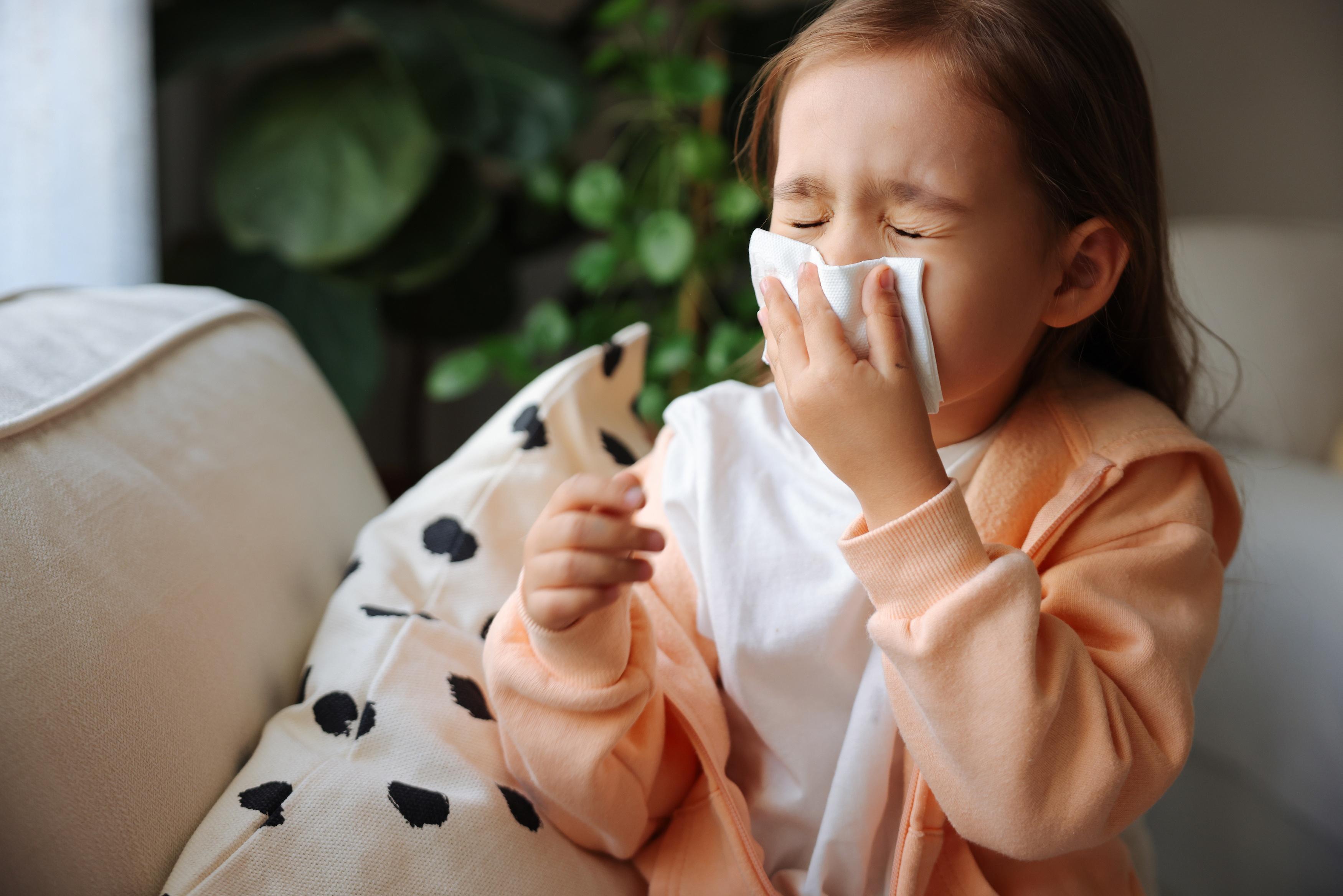  Trẻ nhỏ dễ mắc một số bệnh “mùa tựu trường” liên quan đến đường hô hấp và tiêu hóa. 