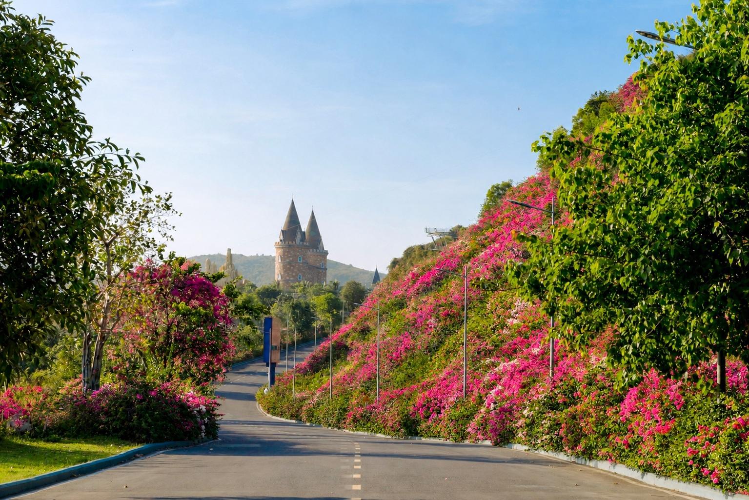  Con đường hoa giấy nơi lưu giữ ký ức của nhiều thế hệ du khách trên đảo Hòn Tre. 