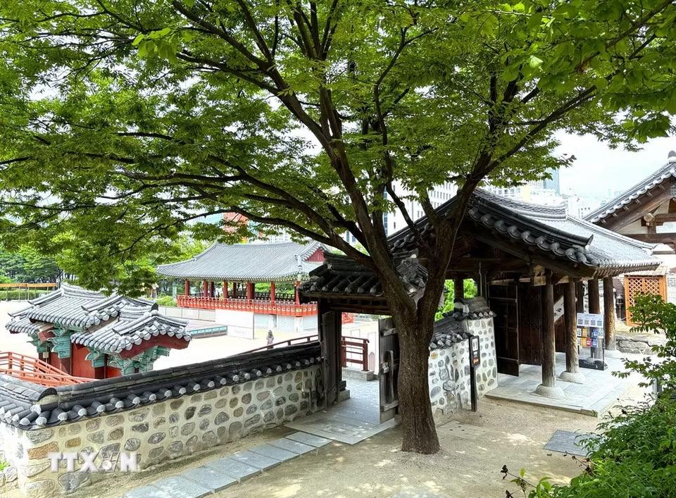 Một góc Làng Hanok Namsangol với những mái ngói, tường đá và cổng gỗ mang đậm nét kiến trúc truyền thống Hàn Quốc, giữa không gian xanh của thủ đô Seoul. (Ảnh: Nhật Hưng/TTXVN)
