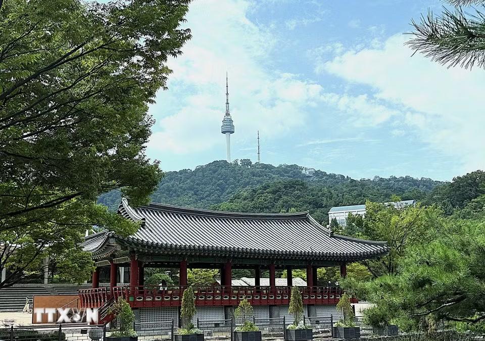 Kiến trúc Hanok truyền thống nổi bật tại Làng Hanok Namsangol giữa không gian xanh của Seoul, phía xa là tháp Namsan. (Ảnh: Nhật Hưng/TTXVN)
