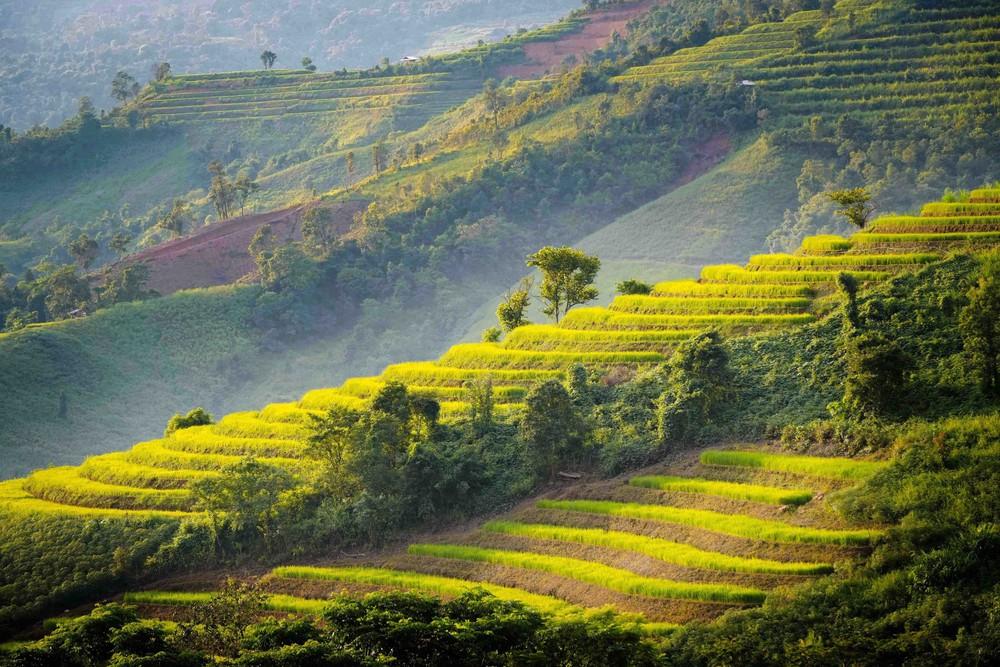 Ruộng bậc thang tầng tầng, lớp lớp theo sườn núi. Ảnh: Xuân Tư - TTXVN
