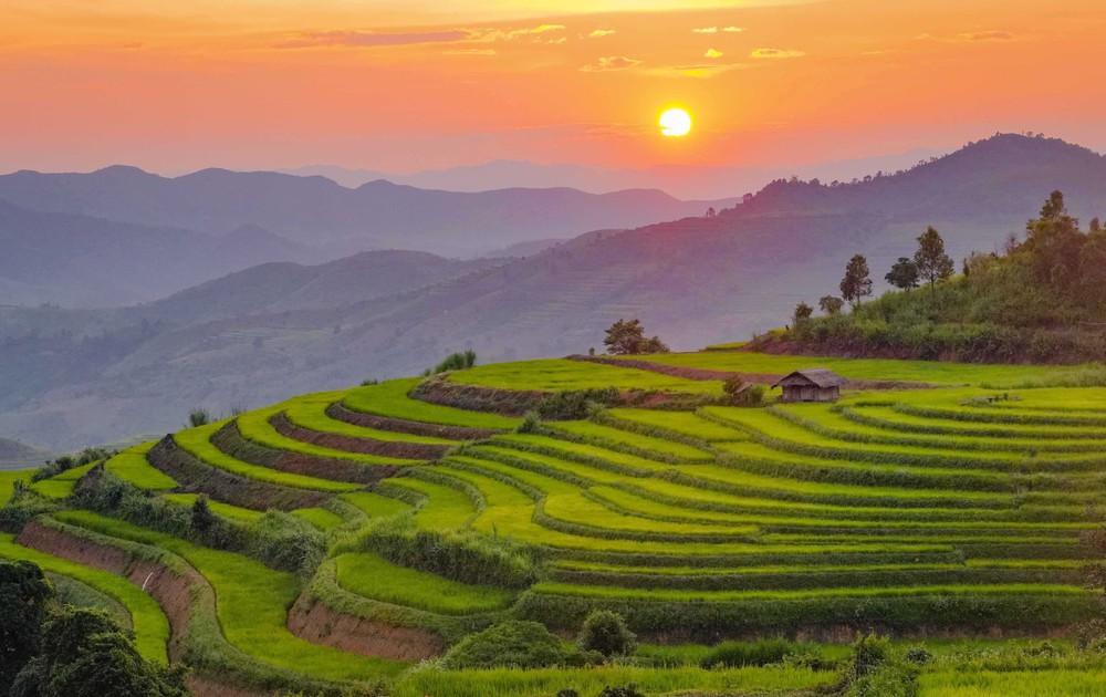 Những đường cong của ruộng bậc thang nổi bật trong ánh chiều tà, phía xa là núi rừng trùng điệp của vùng cao Pu Nhi. Ảnh: Xuân Tư - TTXVN