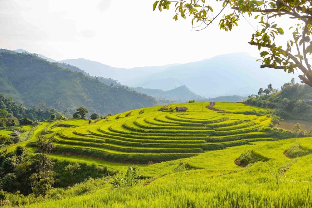 Những thửa ruộng bậc thang tại Pu Nhi được tạo thành từng lớp theo địa hình, trải dài trên các sườn đồi. Ảnh: Xuân Tư - TTXVN