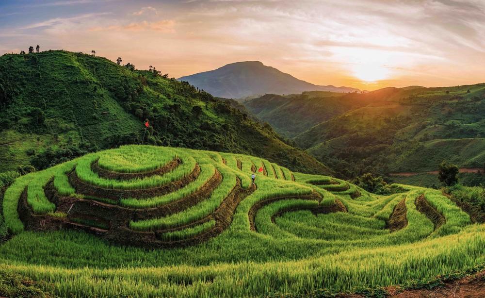 Toàn cảnh những thửa ruộng bậc thang ở bản Phù Lồng B, xã Pu Nhi, tỉnh Điện Biên, uốn lượn theo sườn đồi giữa không gian núi rừng vùng cao. Ảnh: Xuân Tư - TTXVN