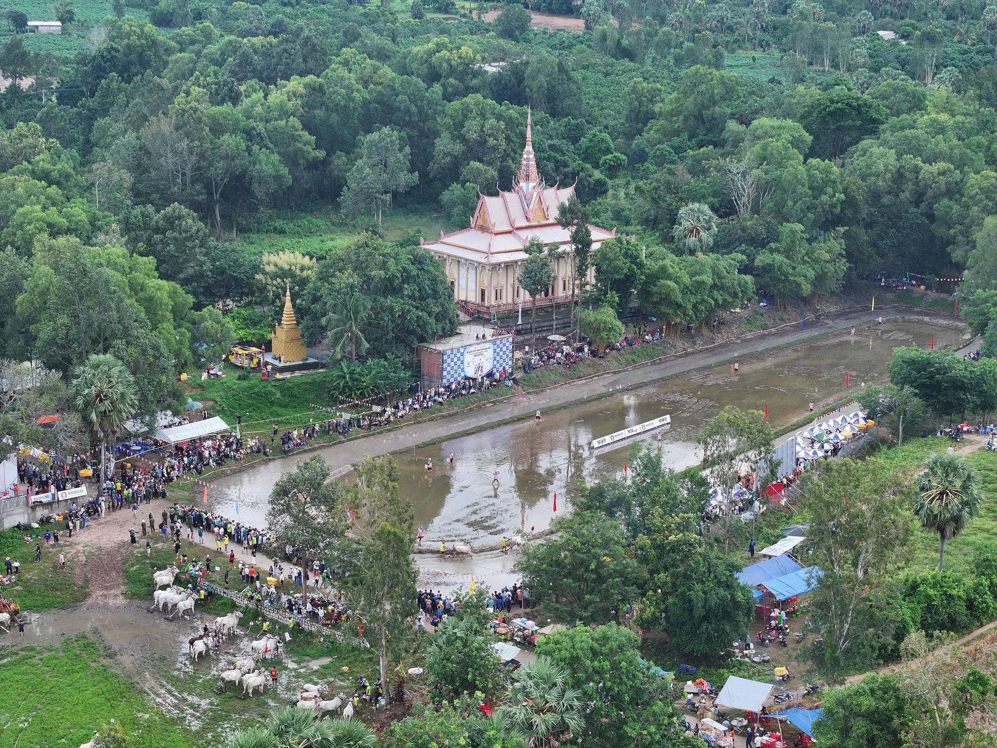 Sân đua bò Chùa Rô