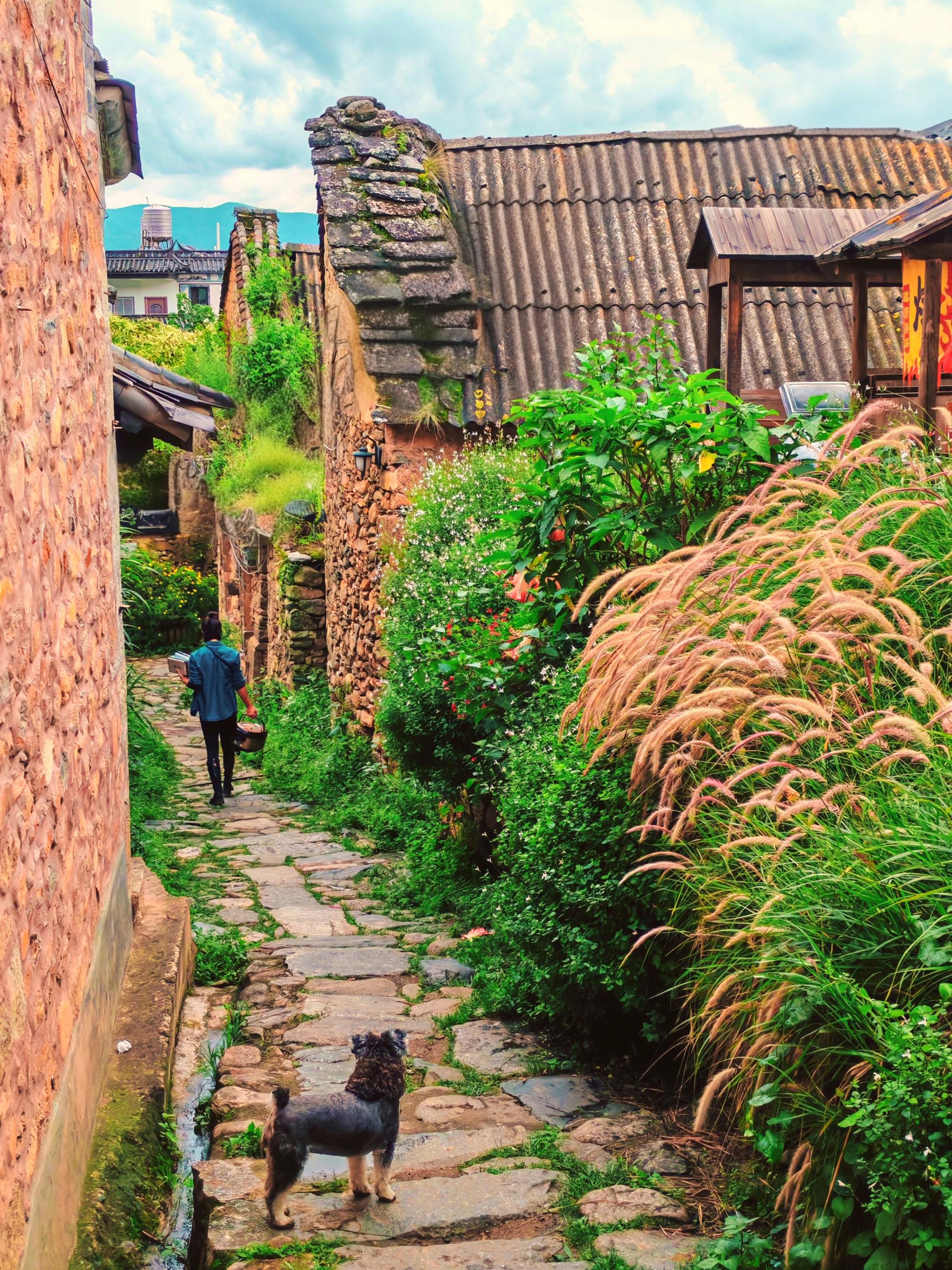 Không gian xanh mát quanh làng Phượng Dương Ấp Thôn. Sau khi lên sóng bộ phim "Đi đến nơi có gió", địa điểm này càng thu hút du khách