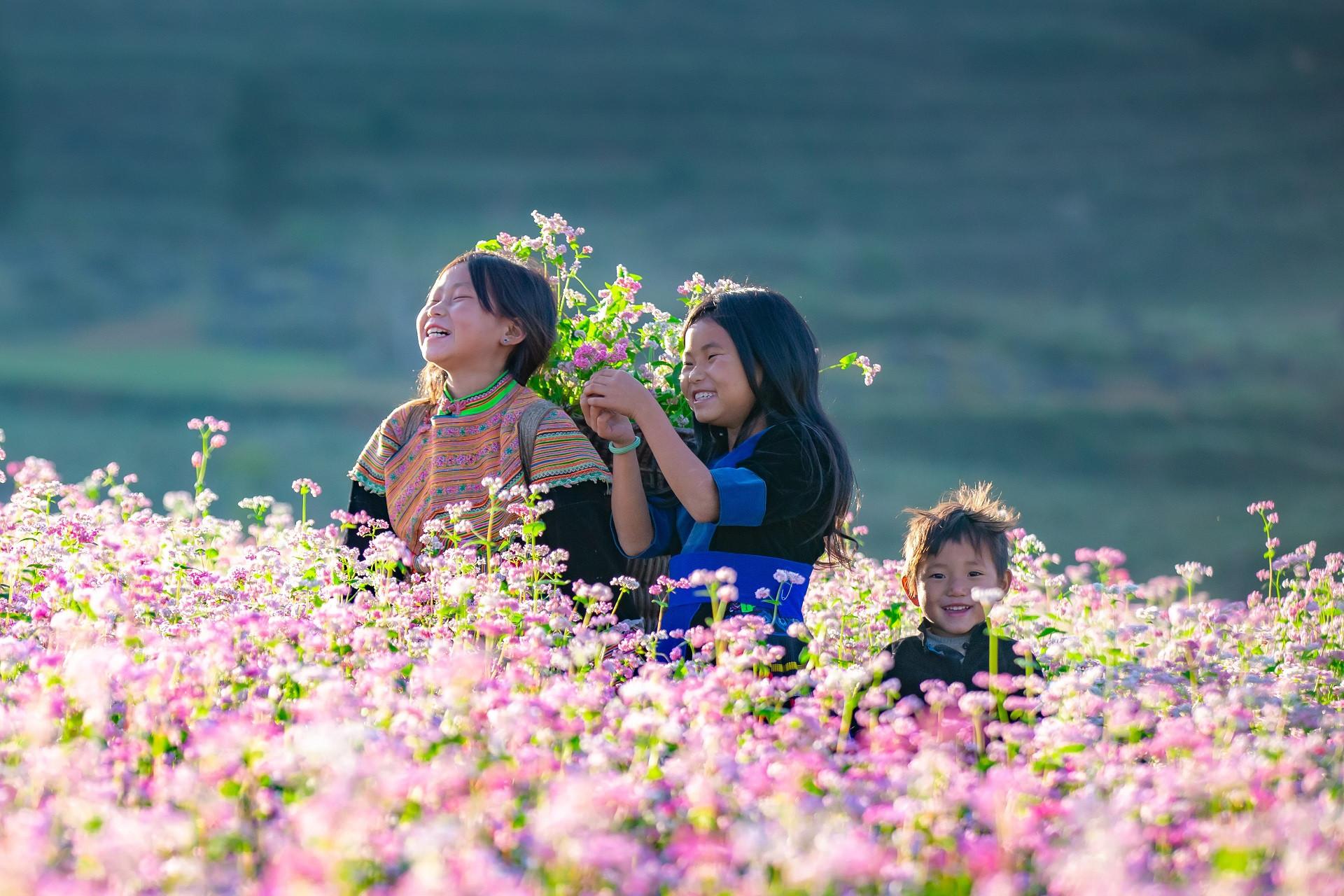 Mùa tam giác mạch là đặc sản hấp dẫn du khách tới Hà Giang. Ảnh: Hoàng Dưỡng