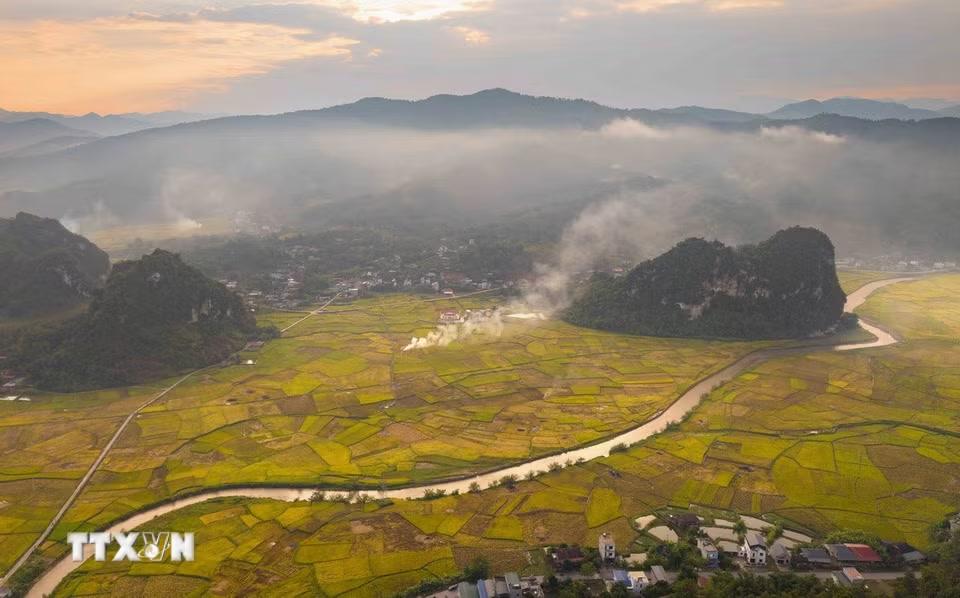 Những làn khói bốc lên giữa cánh đồng lúa trong ánh chiều tạo điểm nhấn cho bức tranh mùa vàng ở Chiềng Sinh. (Ảnh: Xuân Tư/TTXVN)