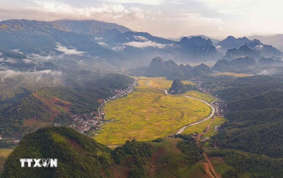 Sắc vàng của lúa chín phủ rộng trên những cánh đồng nằm giữa các dãy núi, tạo nên vẻ đẹp đặc trưng của thung lũng Chiềng Sinh. (Ảnh: Xuân Tư/TTXVN)